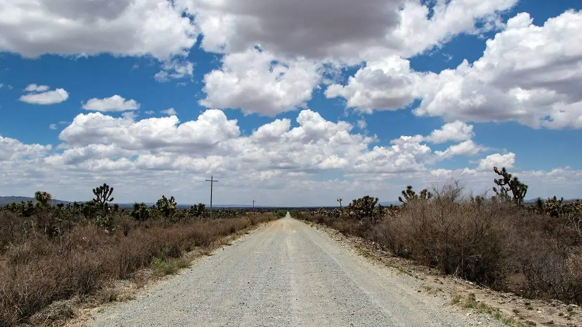 carretera de Zacatecas